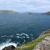 carolannkelly22